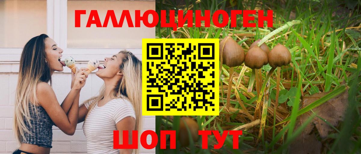 Галлюциногенные грибы Psilocybe  Вход с VPN  Нижний Новгород 